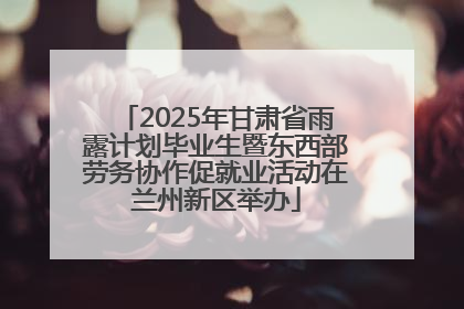 2025年甘肃省雨露计划毕业生暨东西部劳务协作促就业活动在兰州新区举办