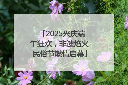 2025兴庆端午狂欢，非遗焰火民俗节燃情启幕