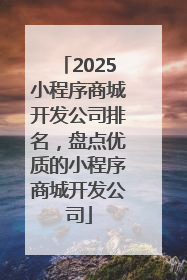 2025小程序商城开发公司排名，盘点优质的小程序商城开发公司
