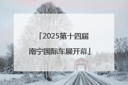 2025第十四届南宁国际车展开幕