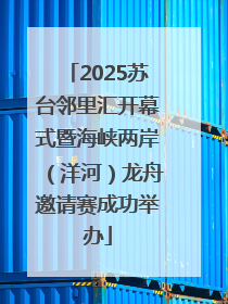 2025苏台邻里汇开幕式暨海峡两岸（洋河）龙舟邀请赛成功举办