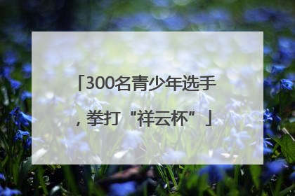 300名青少年选手，拳打“祥云杯”