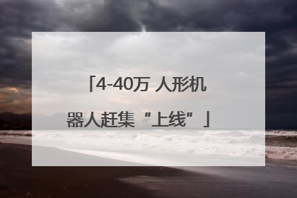 4-40万 人形机器人赶集“上线”