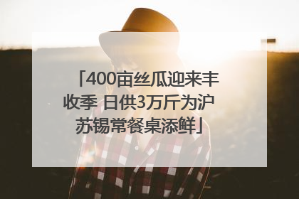 400亩丝瓜迎来丰收季 日供3万斤为沪苏锡常餐桌添鲜