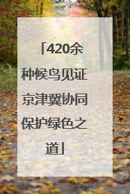 420余种候鸟见证京津冀协同保护绿色之道