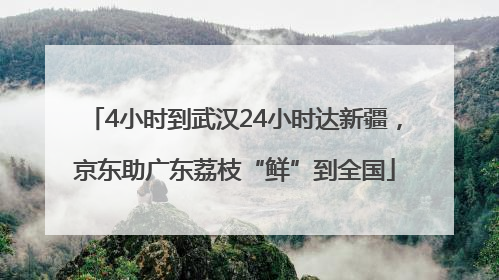 4小时到武汉24小时达新疆，京东助广东荔枝“鲜”到全国