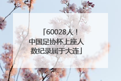 60028人！中国足协杯上座人数纪录属于大连