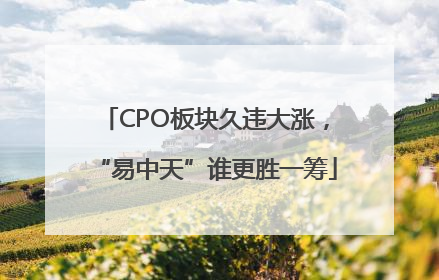 CPO板块久违大涨，“易中天”谁更胜一筹