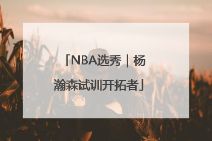 NBA选秀｜杨瀚森试训开拓者