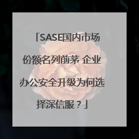 SASE国内市场份额名列前茅 企业办公安全升级为何选择深信服？