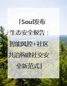 Soul发布生态安全报告：智能风控+社区共治构建社交安全新范式