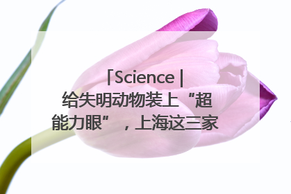 Science | 给失明动物装上“超能力眼”，上海这三家全国重点实验室合作开发新一代视觉假体