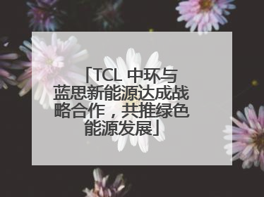 TCL 中环与蓝思新能源达成战略合作，共推绿色能源发展